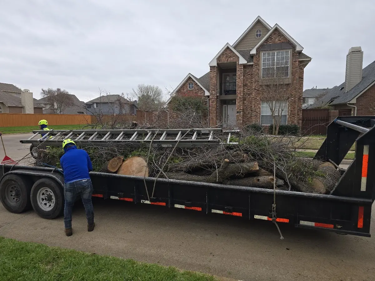 Expert Tree Fertilization with proper safety equipment in Greensboro